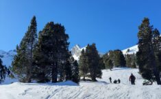 Trace d'espoir course ski randonnée et ski alpinisme La Sambuy 1