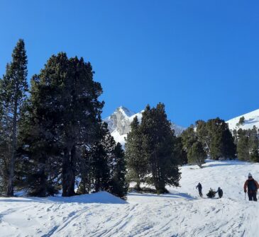 Trace d'espoir course ski randonnée et ski alpinisme La Sambuy 1