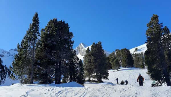 Trace d'espoir course ski randonnée et ski alpinisme La Sambuy 1