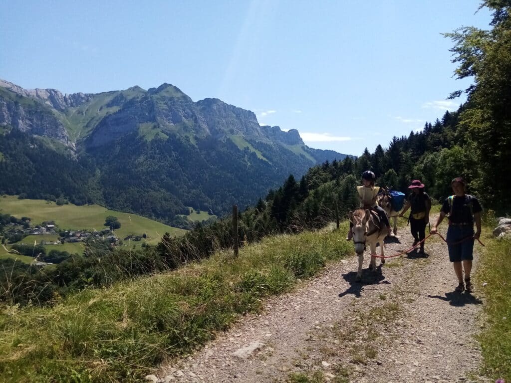 Idées activités insolites autour d'Annecy promenade avec ânes au col de la forclaz
